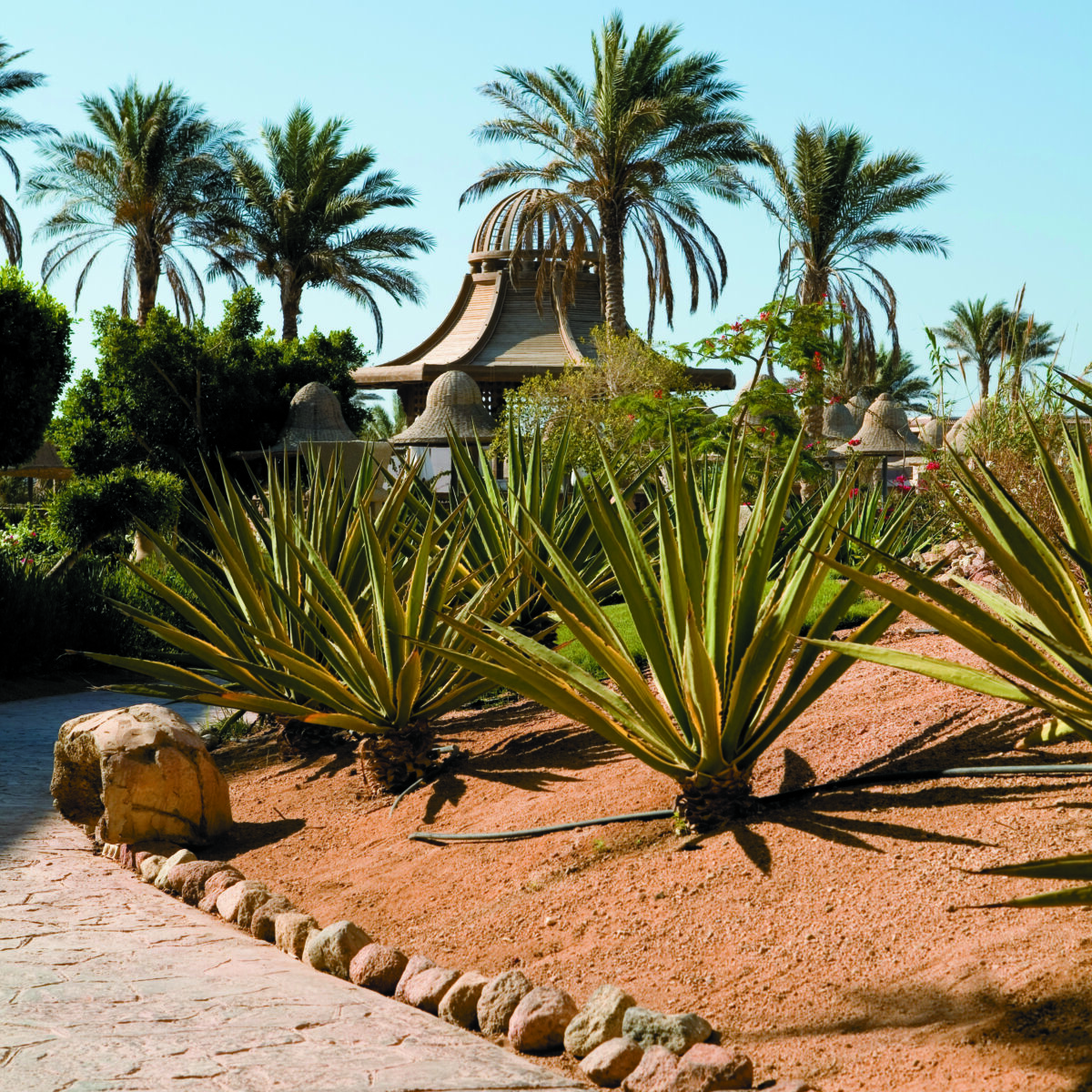 Agriculture and suppliers